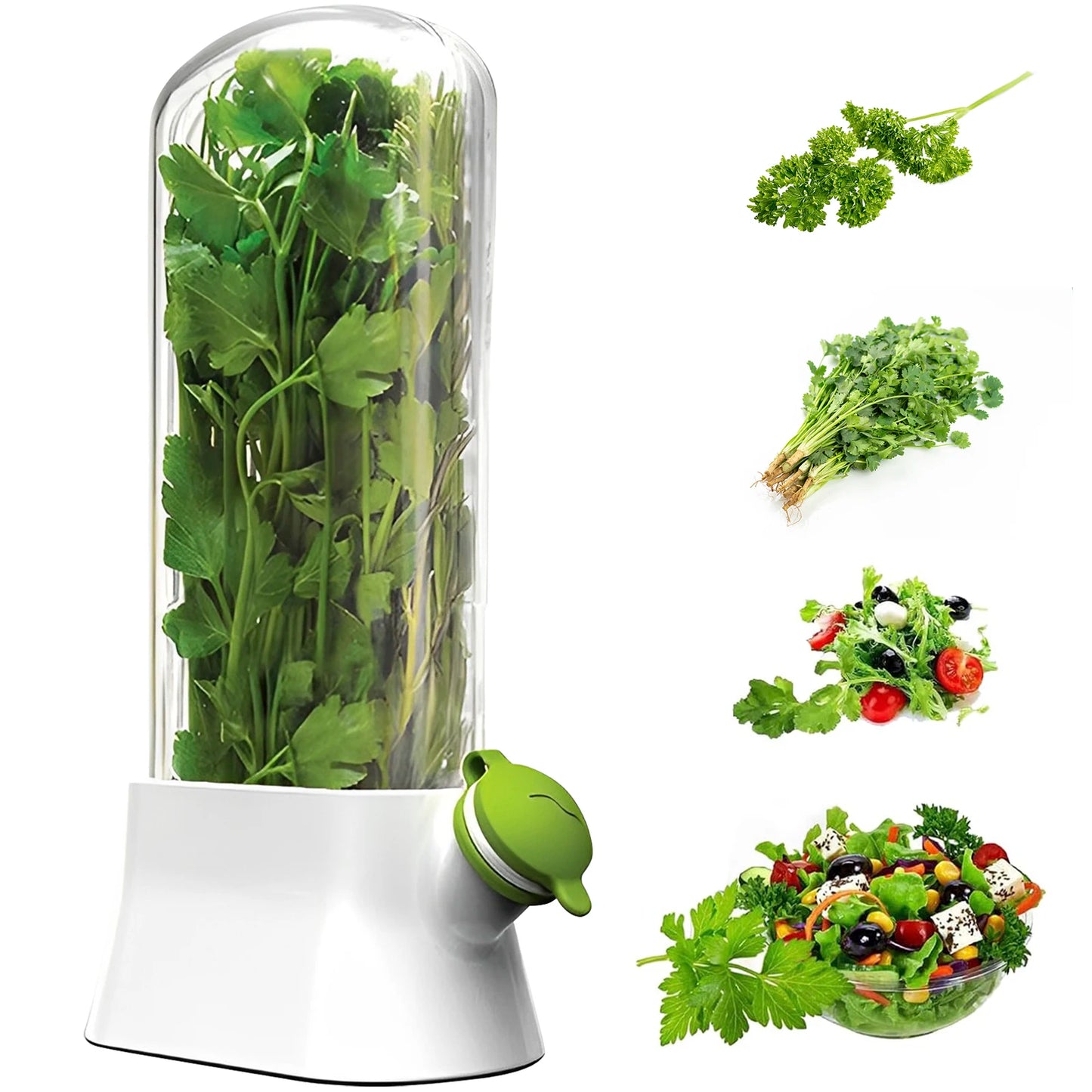 Tall Herb Saver Container