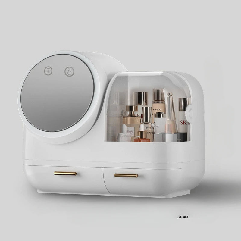 Portable Cosmetic Storage Box
