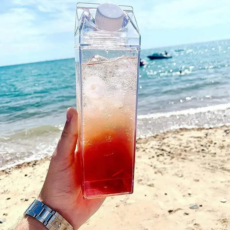 2Pcs Clear Leakproof Juice Bottles