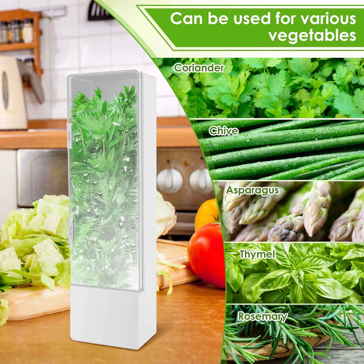 Tall Herb Saver Container