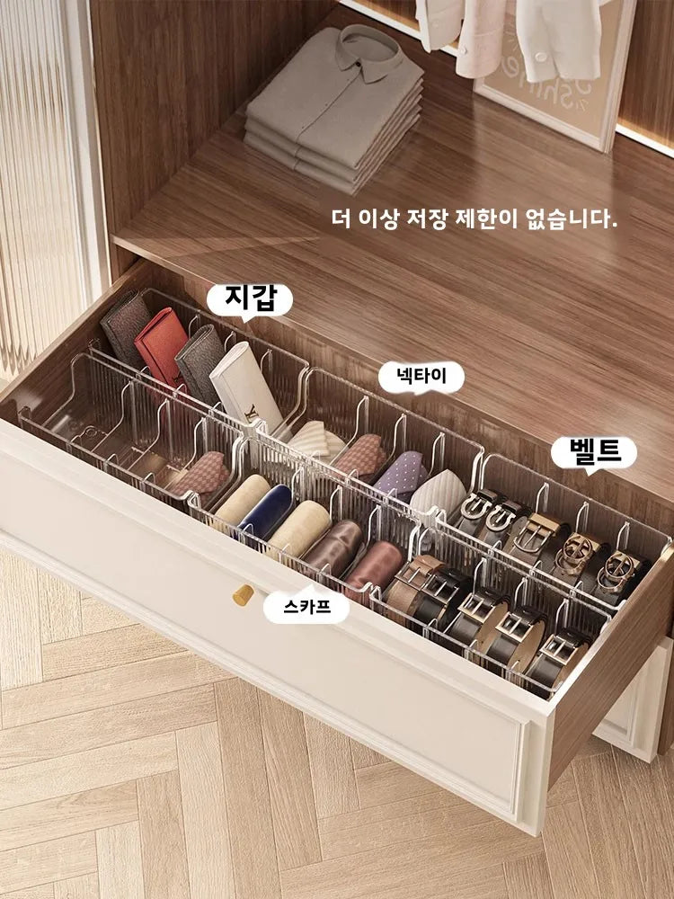 Belts Storage Container & Organizer