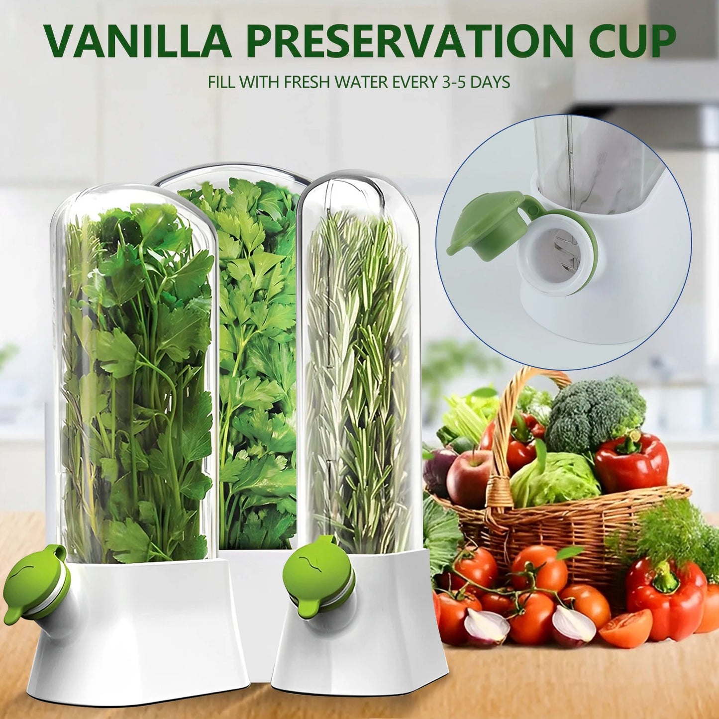 Tall Herb Saver Container
