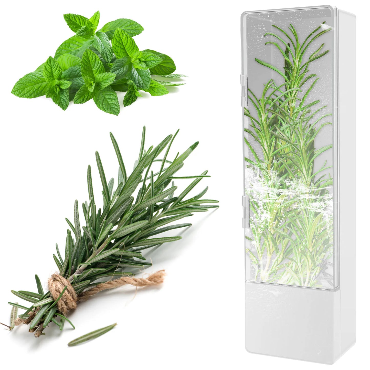 Tall Herb Saver Container