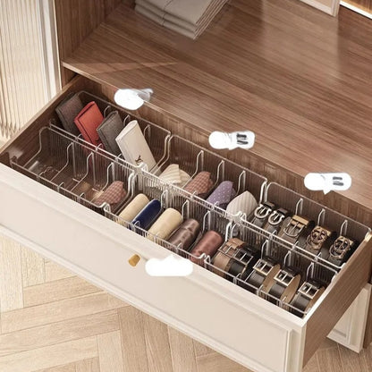 Belts Storage Container & Organizer