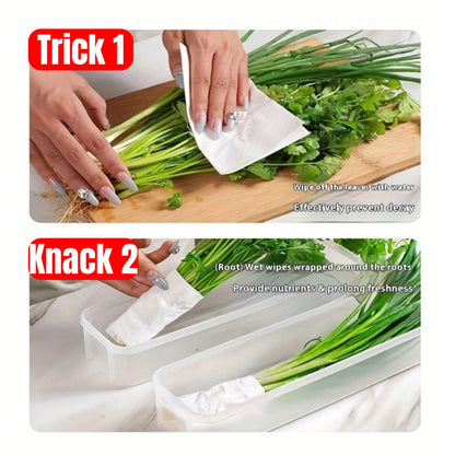 Lidded Fridge Storage Boxes for Herbs and Vegetables
