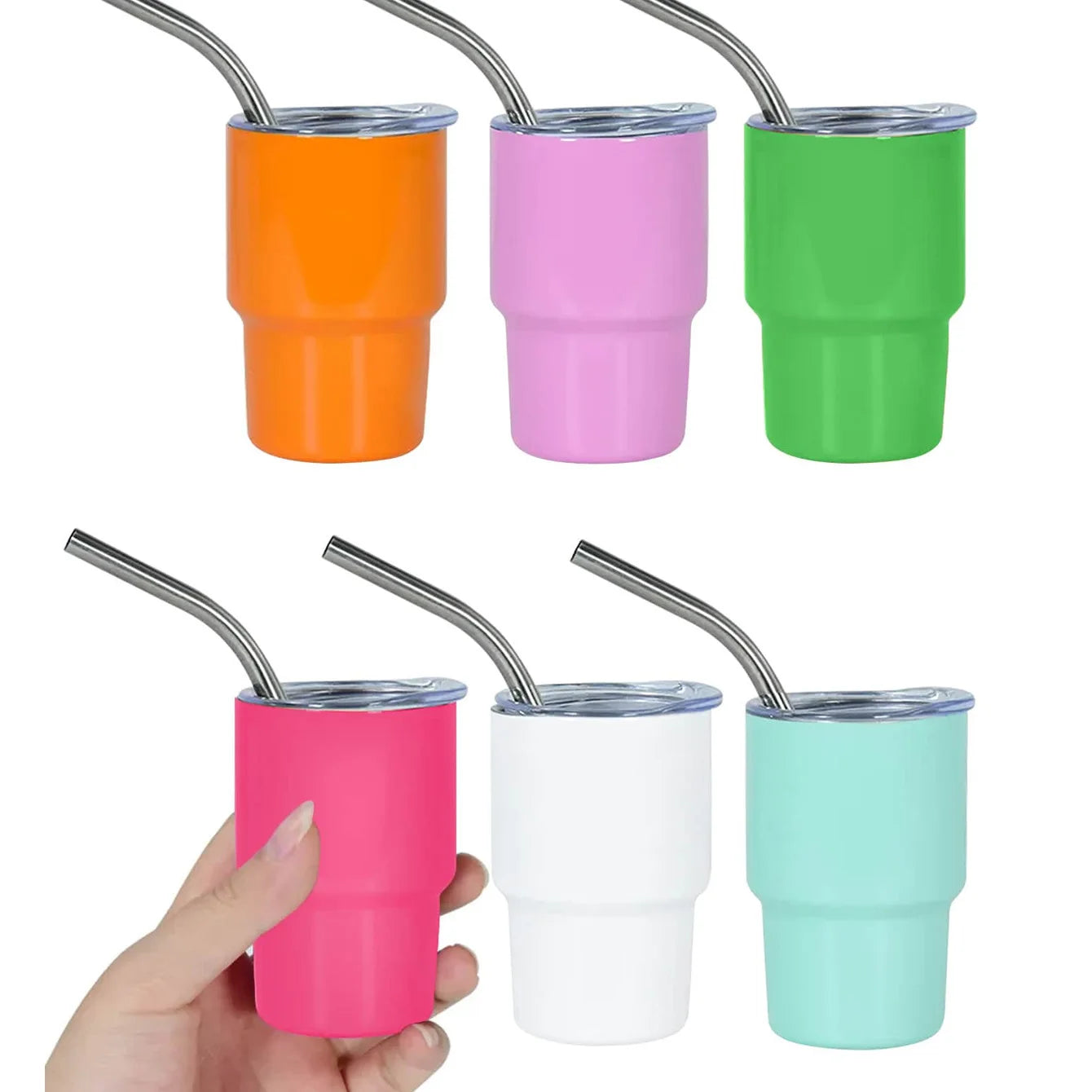 6pcs Mini Stainless Steel Tumbler Set