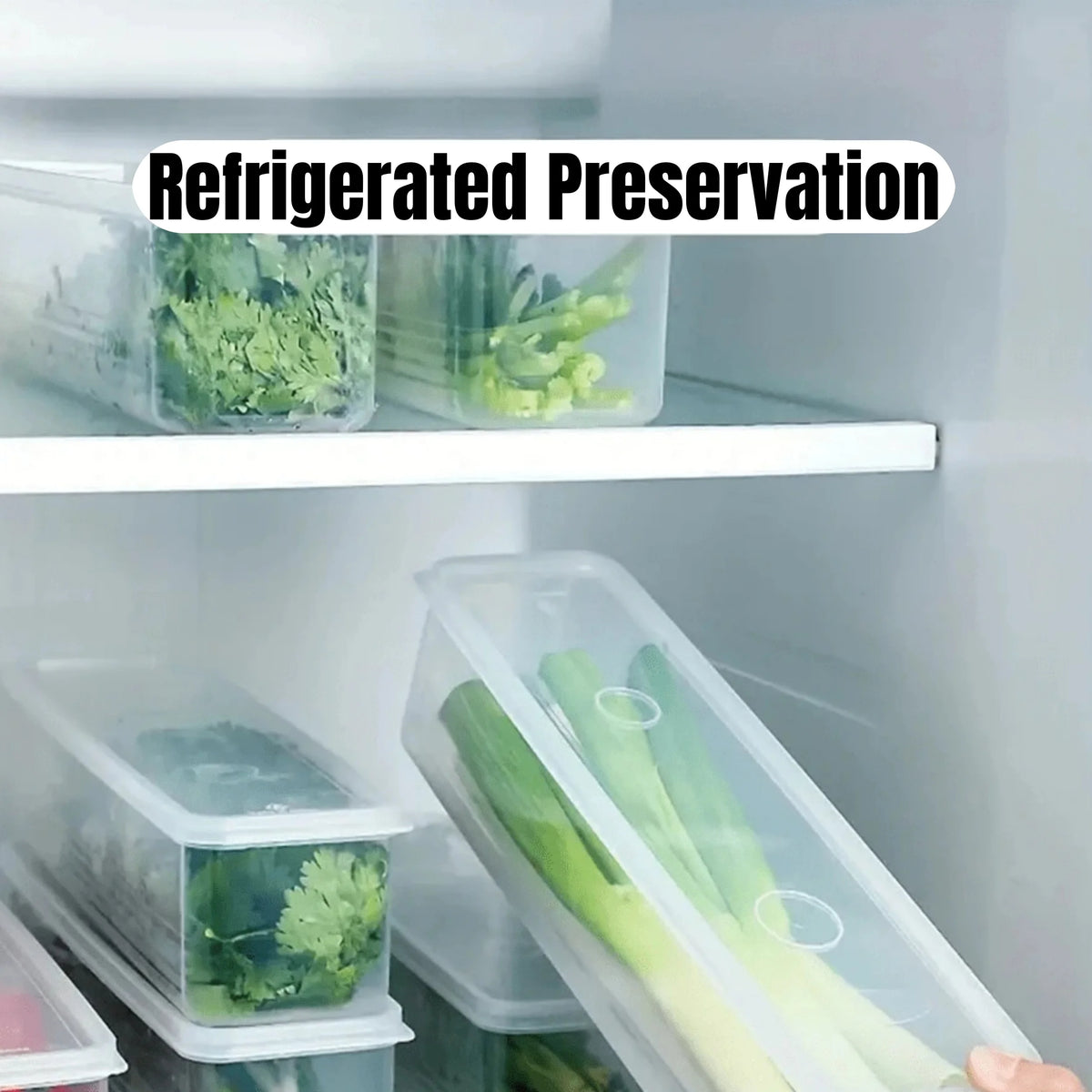 Lidded Fridge Storage Boxes for Herbs and Vegetables