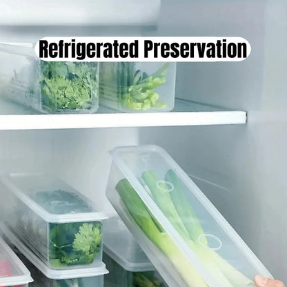 Lidded Fridge Storage Boxes for Herbs and Vegetables
