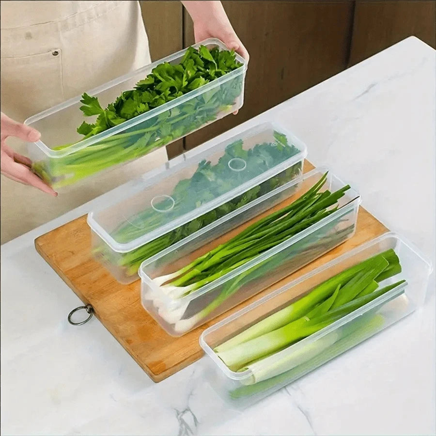 Lidded Fridge Storage Boxes for Herbs and Vegetables