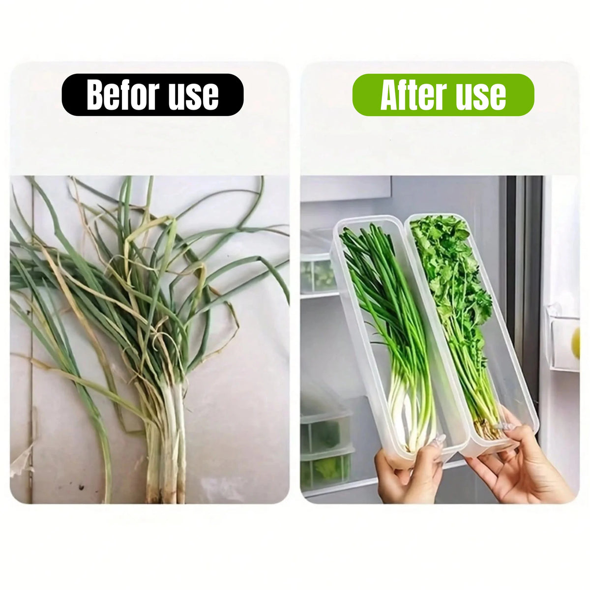 Lidded Fridge Storage Boxes for Herbs and Vegetables