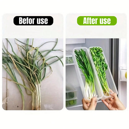 Lidded Fridge Storage Boxes for Herbs and Vegetables