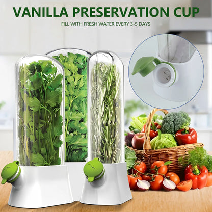 Tall Herb Saver Container