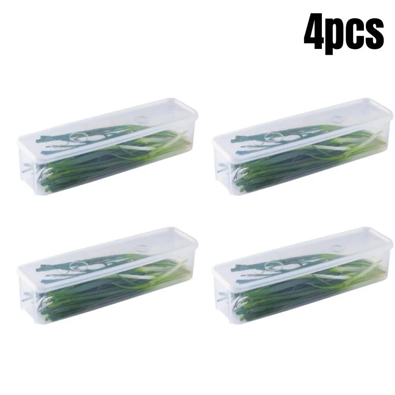Lidded Fridge Storage Boxes for Herbs and Vegetables