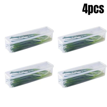 Lidded Fridge Storage Boxes for Herbs and Vegetables